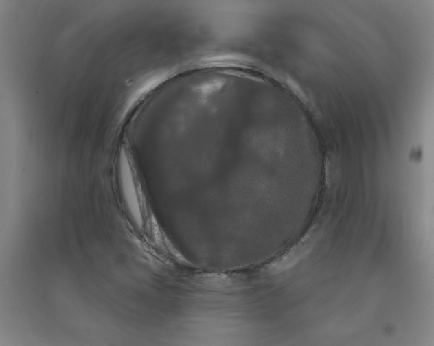 X0000090911405200708201730