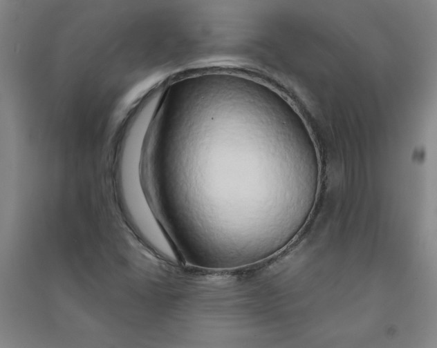 X0000090911406200708201730