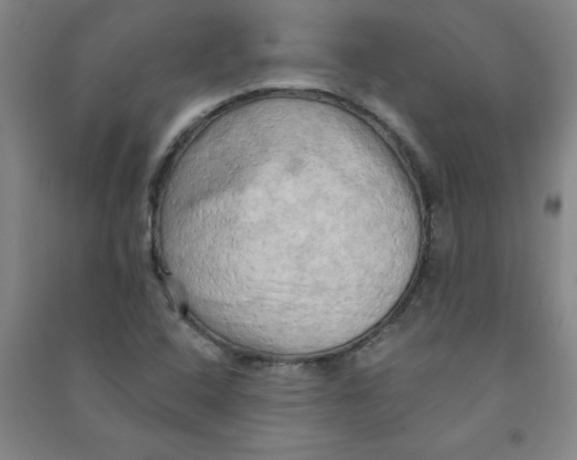 X0000090911408200708201730