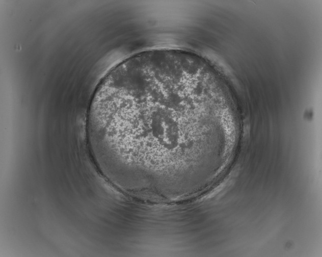 X0000090911409200708201730