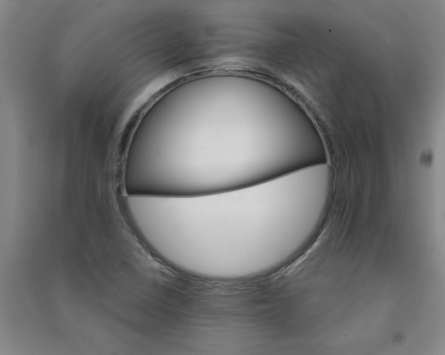 X0000090911410200708201730