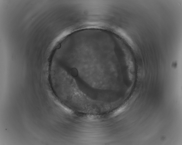 X0000090911411200708201730