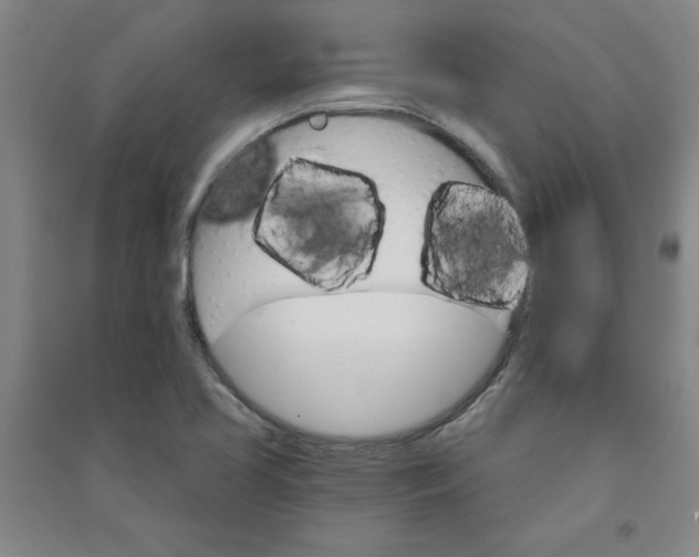 X0000090911413200708201730