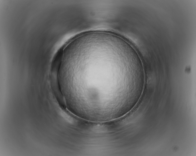 X0000090911414200708201730