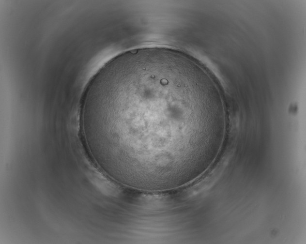 X0000090911415200708201730