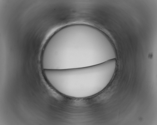 X0000090911416200708201730