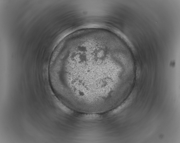 X0000090911417200708201730