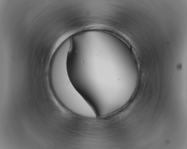 X0000090911418200708201730