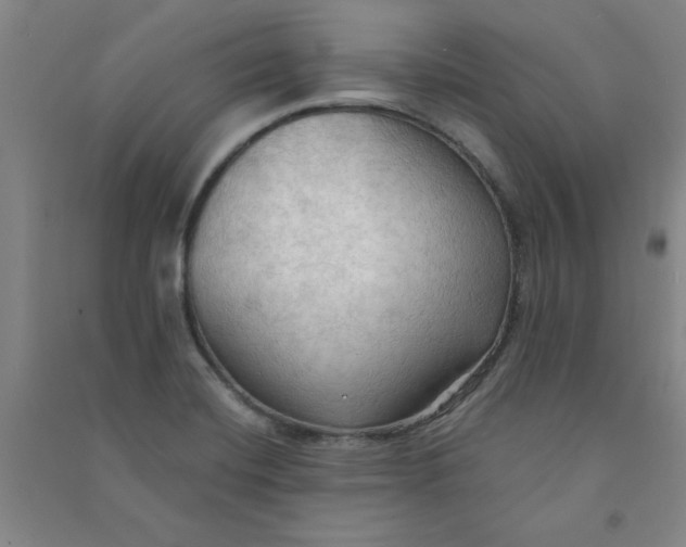 X0000090911420200708201730