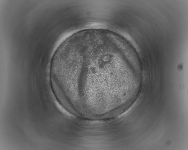 X0000090911421200708201730