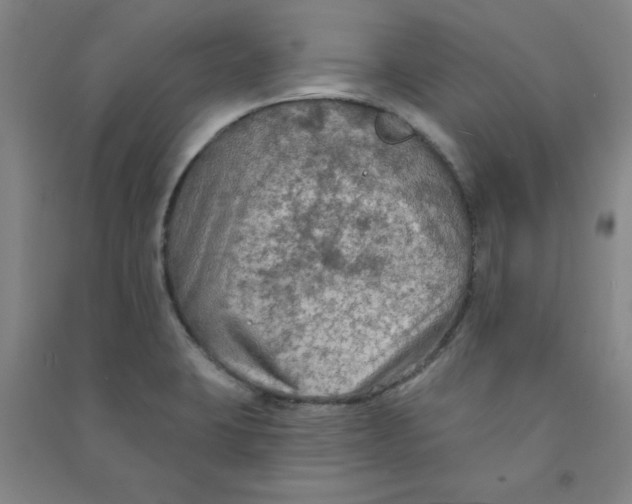 X0000090911423200708201730