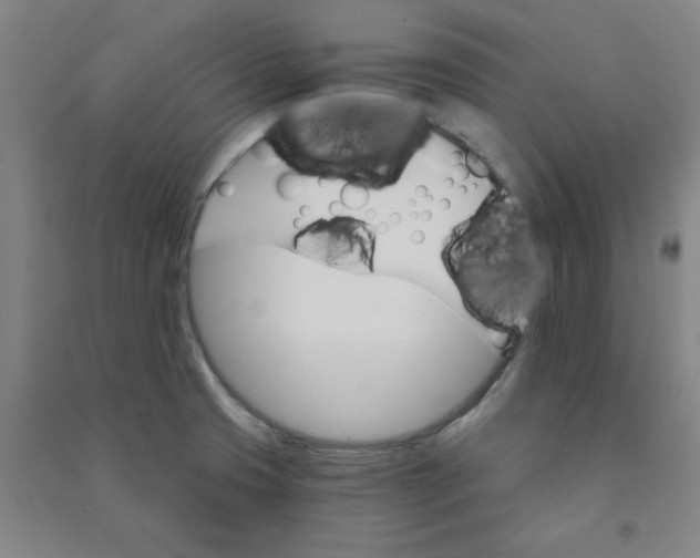 X0000090911425200708201730