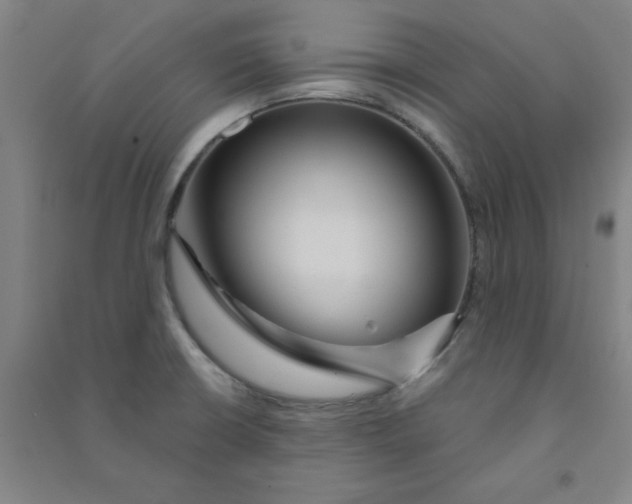 X0000090911426200708201730