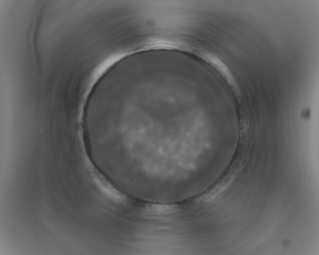 X0000090911427200708201730