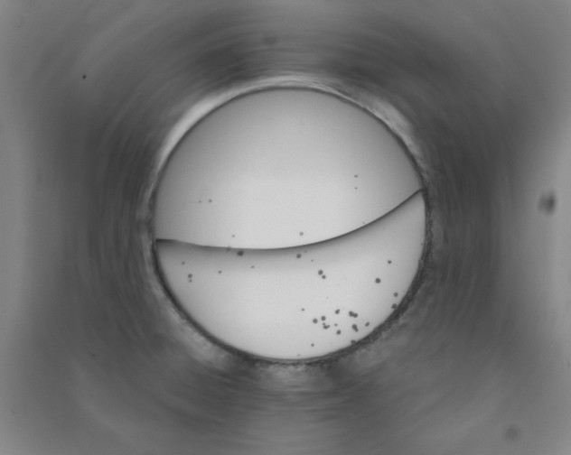 X0000090911428200708201731