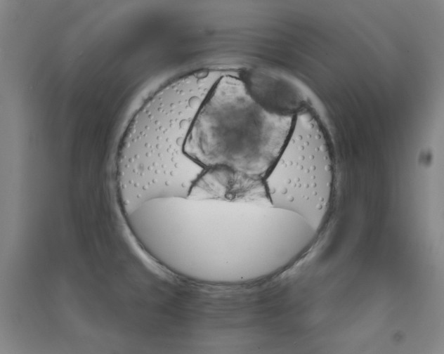 X0000090911429200708201731