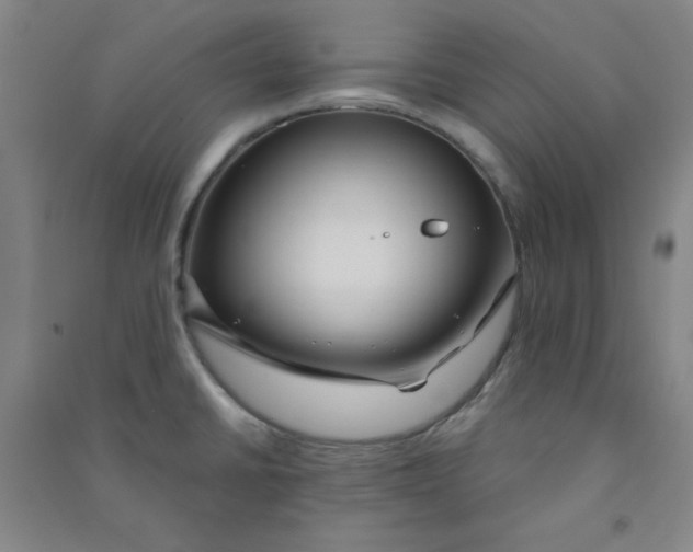 X0000090911430200708201731