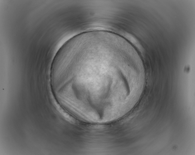 X0000090911431200708201731