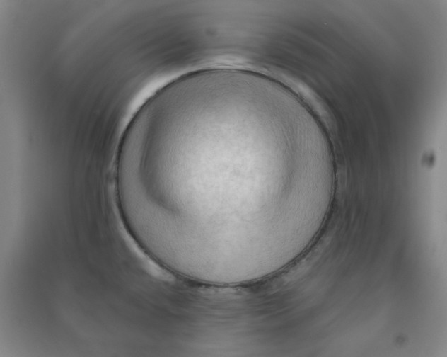 X0000090911432200708201731