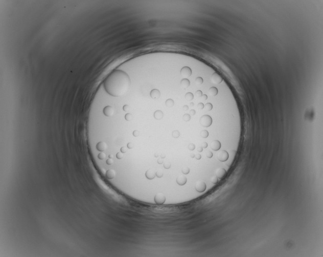 X0000090911433200708201731