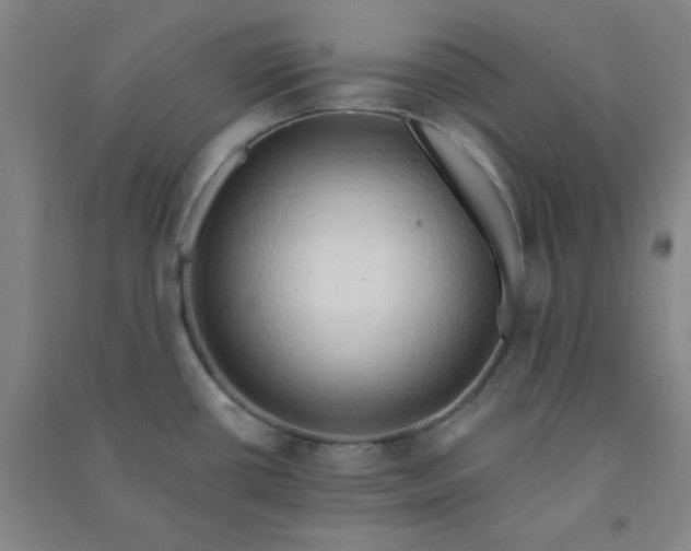 X0000090911434200708201731