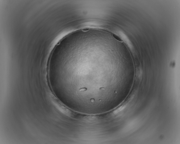 X0000090911435200708201731