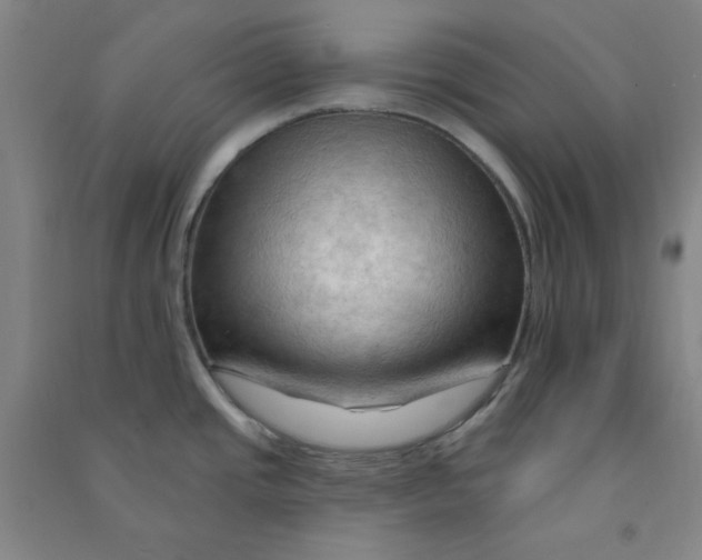 X0000090911437200708201731