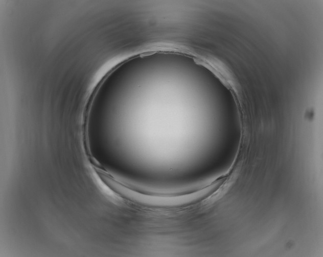 X0000090911438200708201731