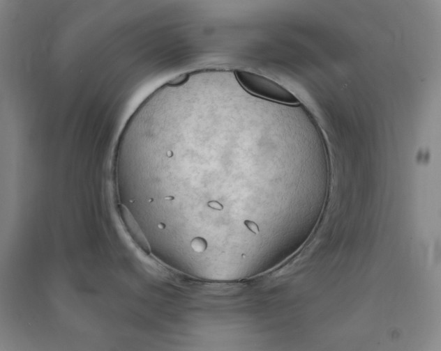 X0000090911440200708201731