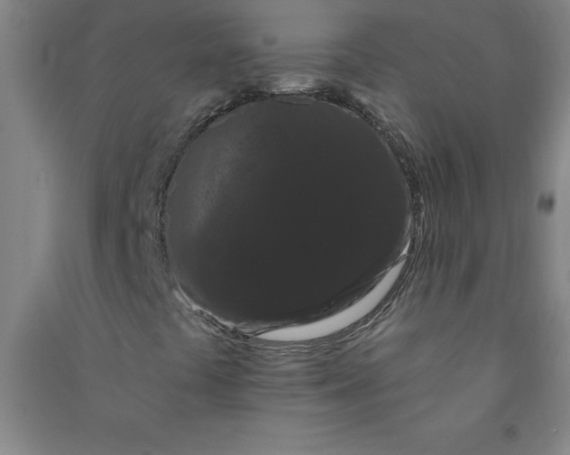 X0000090911441200708201730