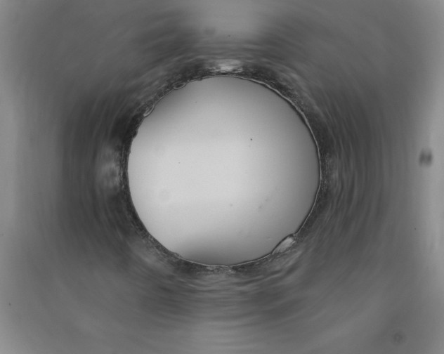 X0000090911442200708201730