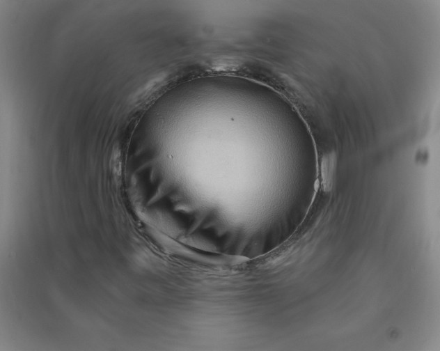 X0000090911443200708201730