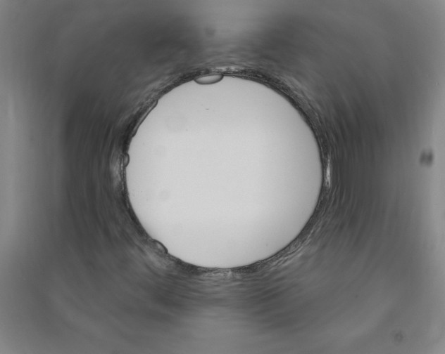 X0000090911444200708201730