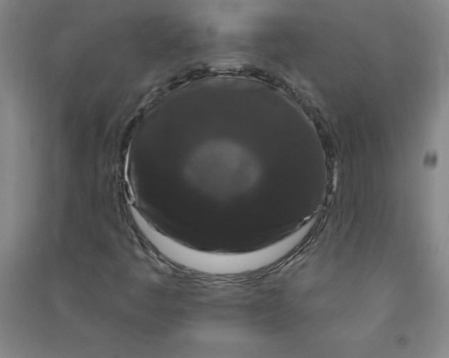 X0000090911445200708201730