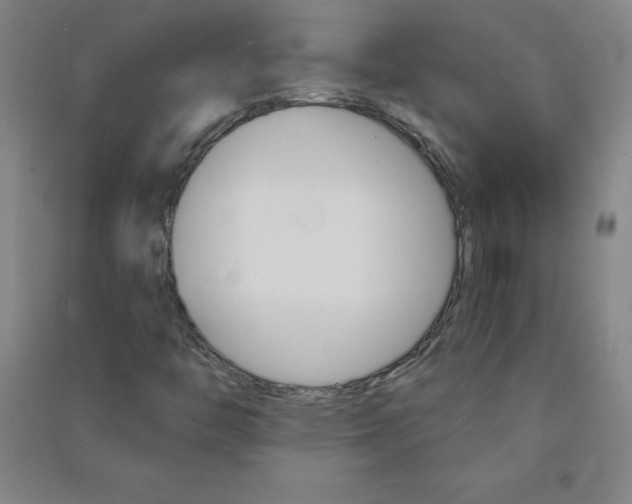 X0000090911446200708201730