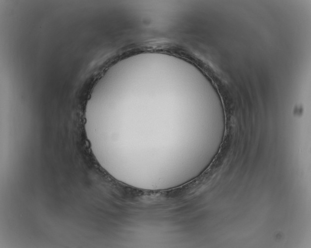 X0000090911447200708201730