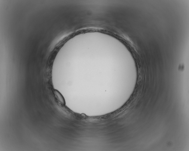 X0000090911448200708201730