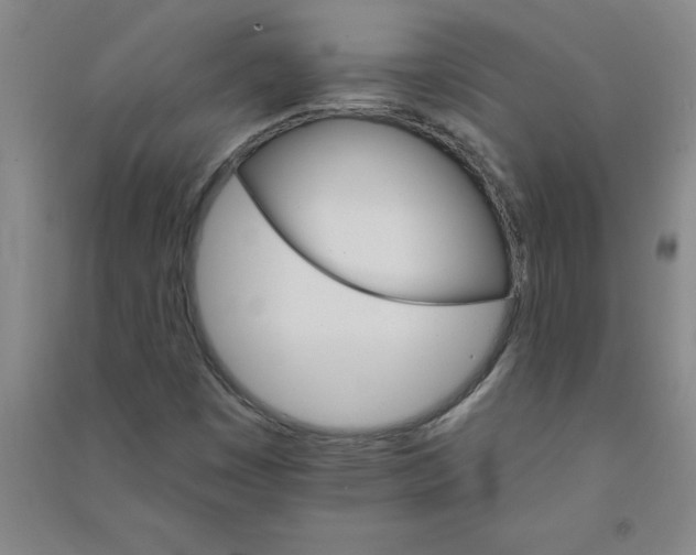 X0000090911449200708201730