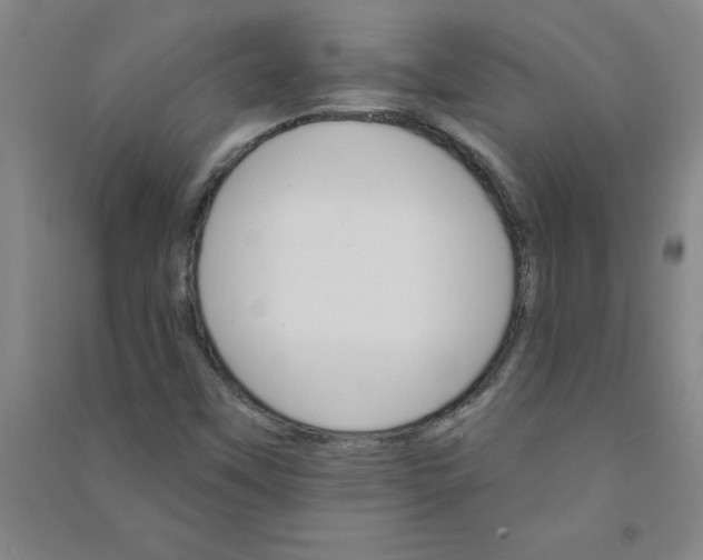 X0000090911451200708201730