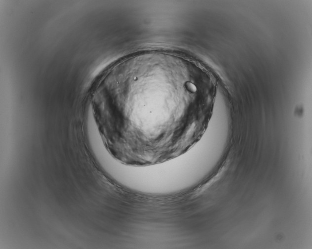 X0000090911453200708201730