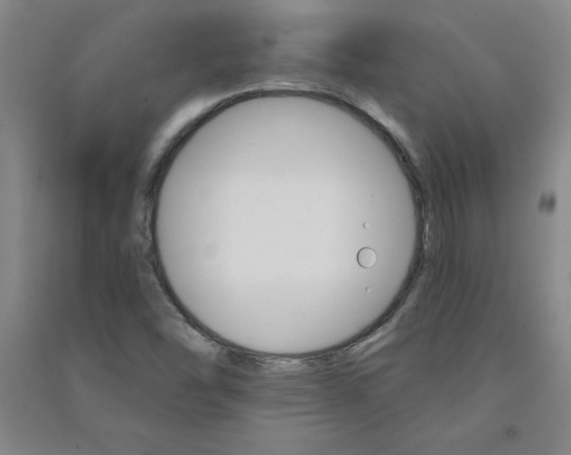 X0000090911454200708201730