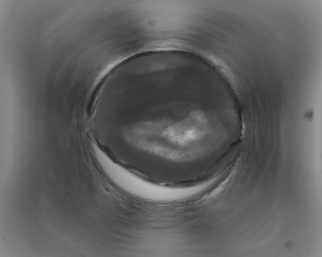 X0000090911457200708201730