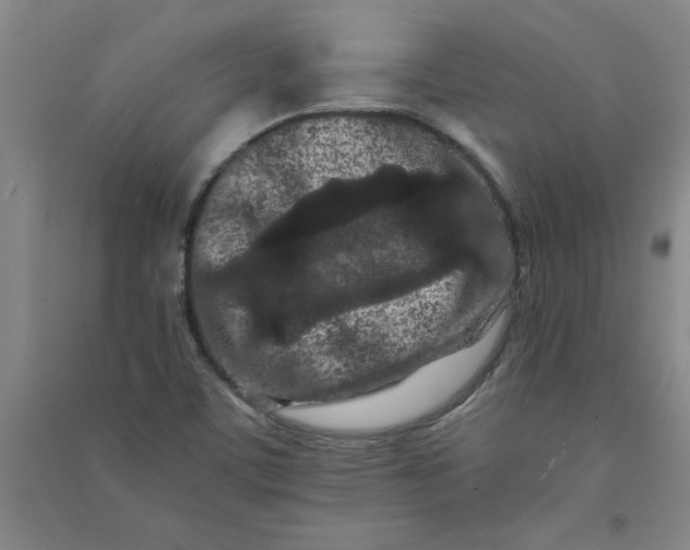 X0000090911459200708201730