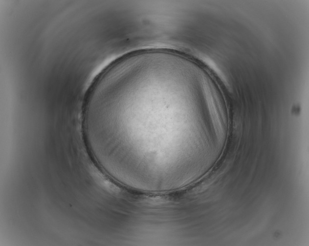 X0000090911460200708201730