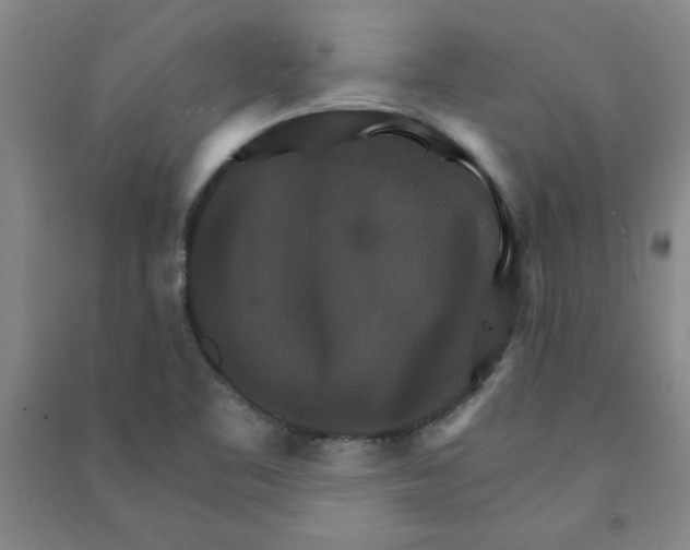 X0000090911461200708201730