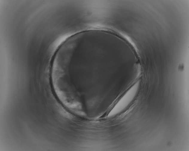 X0000090911463200708201730