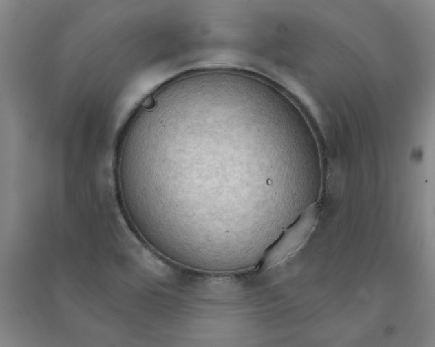 X0000090911464200708201730