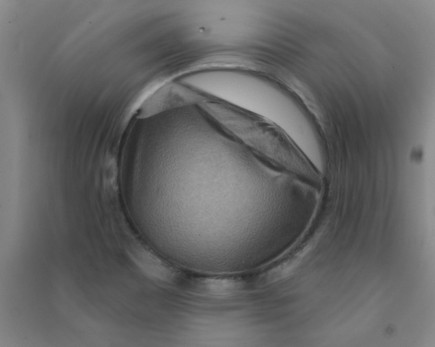 X0000090911465200708201730