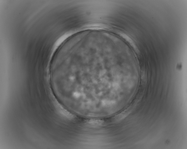 X0000090911466200708201730