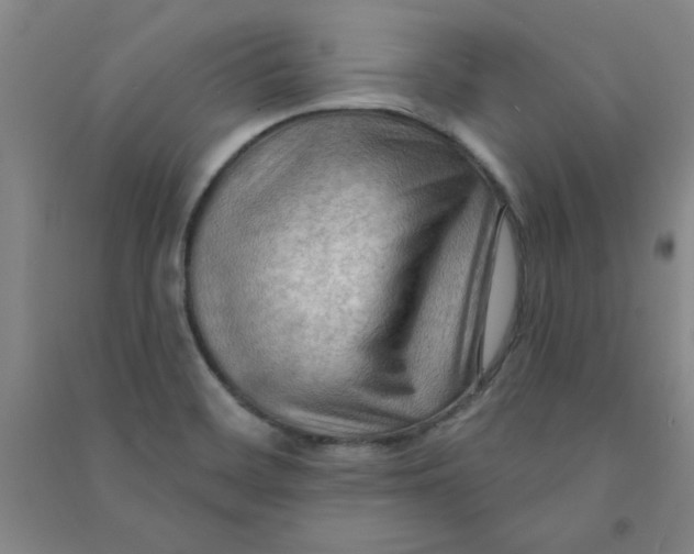 X0000090911468200708201730